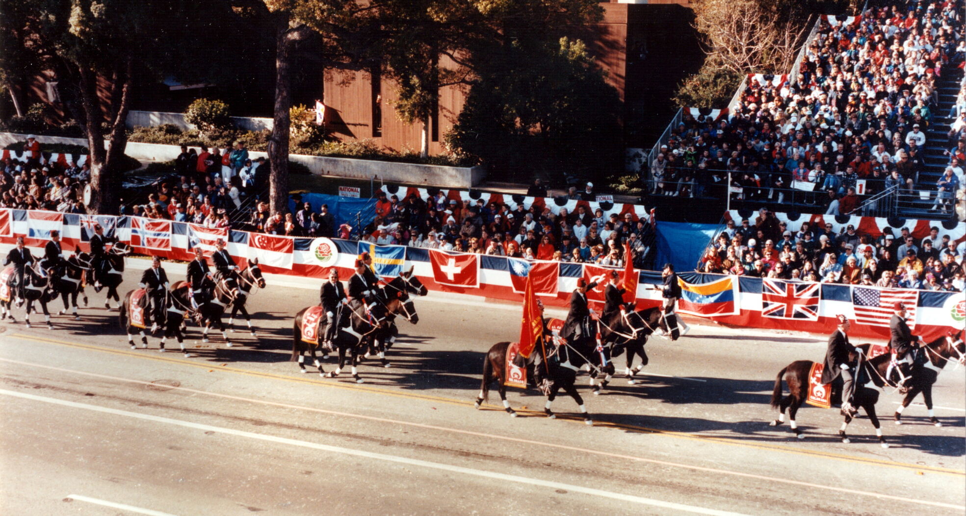 mule train Rose Parade 95.jpg